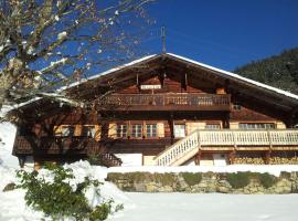 A picture of the hotel: Chalet Beau Site
