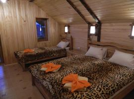 Гостевая усадьба Родовое гнездо, hotel in Haysyn