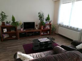 Zdjęcie hotelu: Spacious apartment near Brno. Samostatný byt v RD