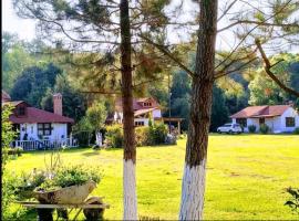 Cabañas los cactus 2, hôtel à Huasca de Ocampo