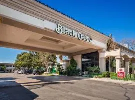 Best Western Plus Black Oak, hotel din Paso Robles