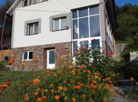 Casa din prund Ocolis、Ocolişのホテル