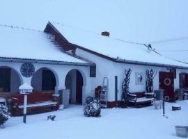 Hotel Photo: Casa Tisza