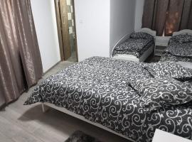 Pensiunea Gallamar, hôtel à Bîrlad