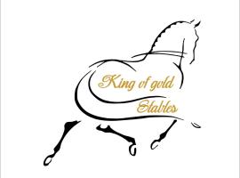 מלון צילום: King of Gold Stables appartement met stalling voor 5 paarden