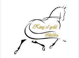 A picture of the hotel: King of Gold Stables appartement met stalling voor 5 paarden