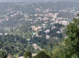 Photo de l’hôtel: Kashmir View Hotel