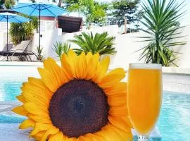Casa Verde Hotel - Steps to the Beach, Pool, Restaurant & Bar