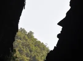 Mulu National Park