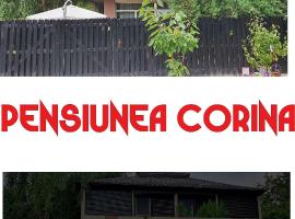 A picture of the hotel: Pensiunea Corina Boutique