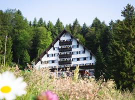 A picture of the hotel: Hotel Tisa Pohorje