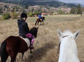 Dona Guest House - Horse Riding, hôtel à Koprivchtitsa
