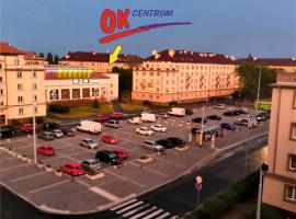 A picture of the hotel: OK Pension Pardubice