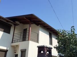 Camere Centrale, hotel in Piteşti