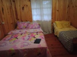 Hotel Photo: Alicia's Homestay