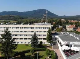 Hotel Biały, hotel in Wałbrzych