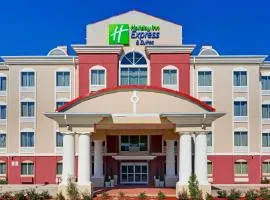 Holiday Inn Express Hotel & Suites Byram by IHG