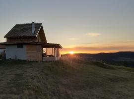 Fotos de Hotel: Вила Орцево Vila Ortsevo