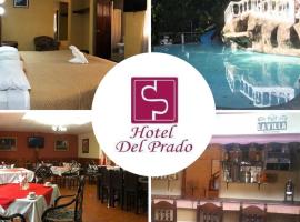 A picture of the hotel: Hotel Del Prado