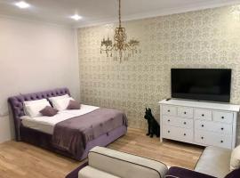 Hotel fotografie: Cozy Apartments in Samara