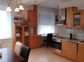 Photo de l’hôtel: Plně vybavený apartmán Polní 1299