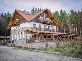 Paradisul Verde、Breteaのホテル