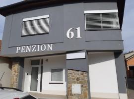 A picture of the hotel: Penzion 61