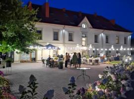 A picture of the hotel: Central Hotel Radviliškis