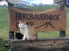 Fotos de Hotel: Bergbauernhof Ofner