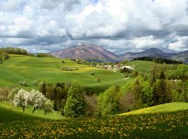 ホテル写真: Tourist Farm Ljubica