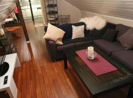 Hotel Photo: Skien Center Apartment