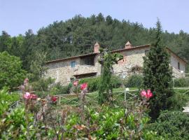 호텔 사진: La Piaggia Villa Sleeps 21 with Pool and WiFi