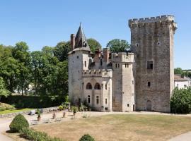 Hotel fotografie: Saint-Loup-Lamaire Chateau Sleeps 16 WiFi