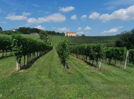 A picture of the hotel: Weinhof Erich Christiner