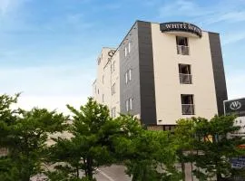 Hotel New White House