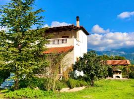 Gambaran Hotel: Villa Vasiliki