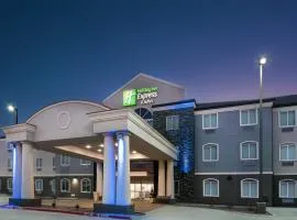 Holiday Inn Express Hotel and Suites Monahans I-20 by IHG