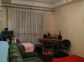 Hotel fotoğraf: 1room apartment near Zhuliany airport and the railway station