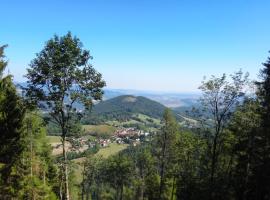 Hotel fotoğraf: Mountainfellow Raach am Hochgebirge