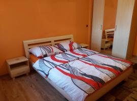 Hotel Photo: Apartament u Joli