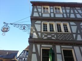 酒店照片: Hotel Blaues Haus