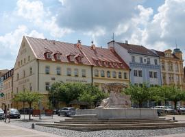 Foto do Hotel: Hotel Česká Koruna