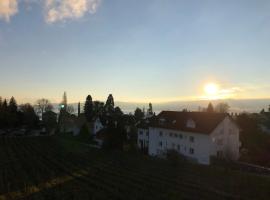 Hotel Foto: Ferienwohnungen Weingut Deufel