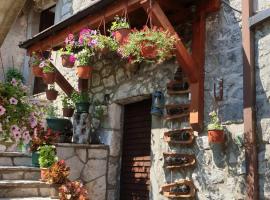 Aleksa, hotell Cetinjes