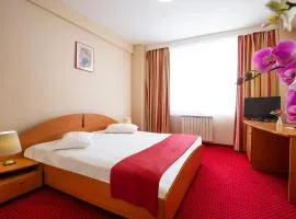 Hotel Dana, hotel in Satu Mare