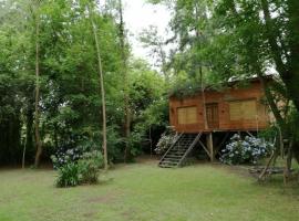 Hotel Photo: Cabaña Delta Blues