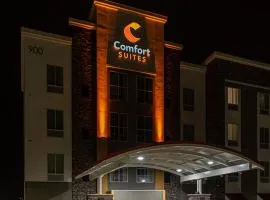 Comfort Suites, hotel en Cedar Park