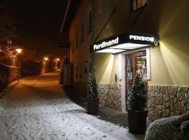 A picture of the hotel: Ferdinand Penzion