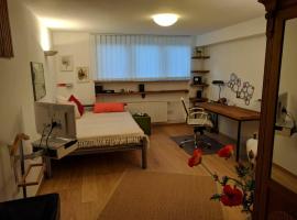 Hotel Photo: Gemütliche Single Wohnung Nähe Messezentrum