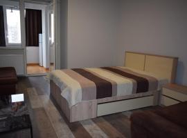 Hotel Photo: Apartament Hospital View Independentei RHBM